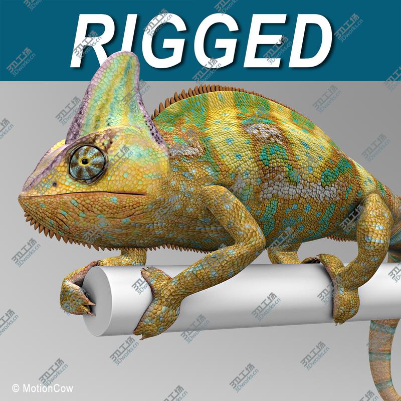 images/goods_img/202104022/Chameleon  Color/1.jpg